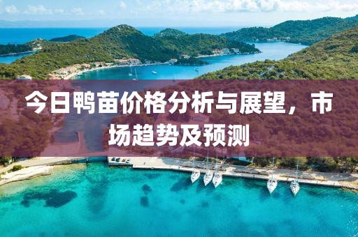 77777888管家婆四肖四碼,雞生肖排第六i-777888管家婆精準(zhǔn)四肖,防范名不副實(shí)廣告-社會釋義、專家解析解釋與落實(shí)?