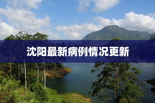 深度觀察